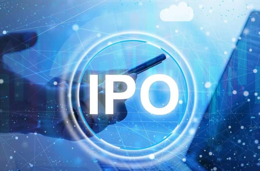  The Risks and Rewards of Investing in an IPO